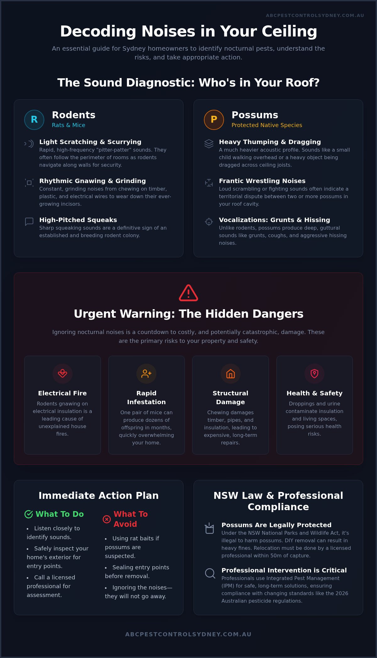 Night Ceiling Noises: Identification & Fixes in Sydney - Infographic