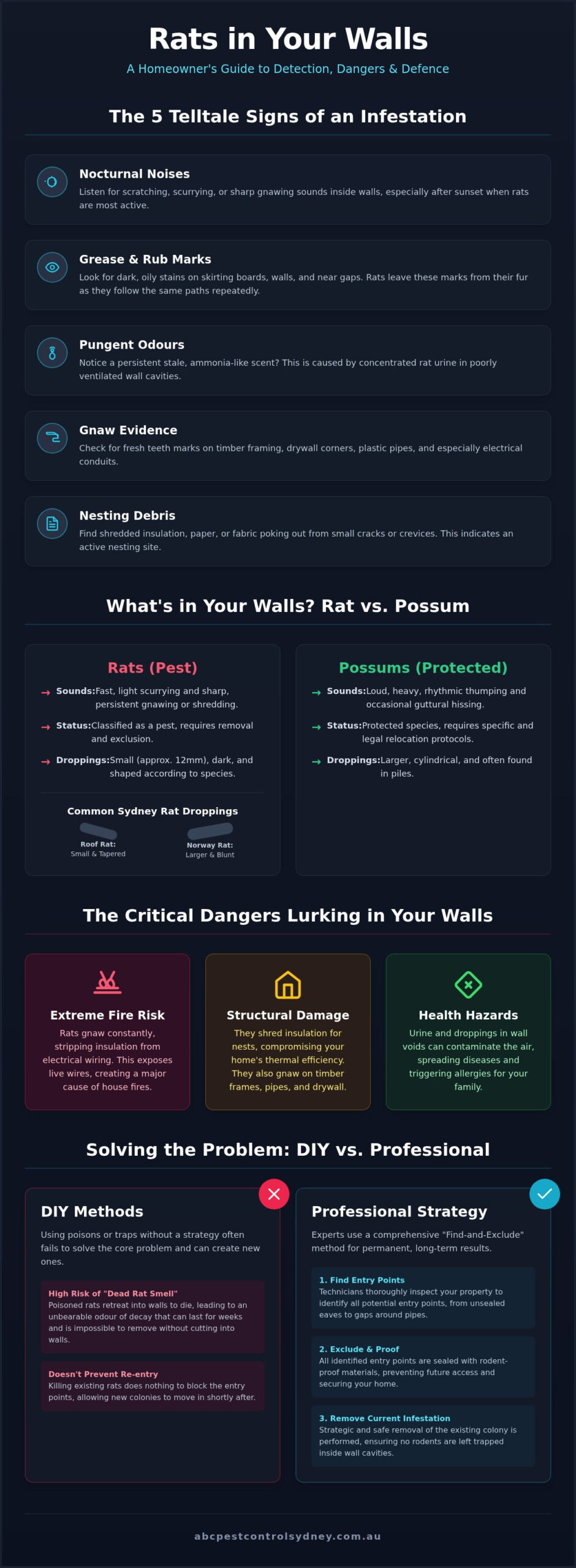 Signs of Rats in Walls: How to Identify and Stop a Hidden Infestation - Infographic