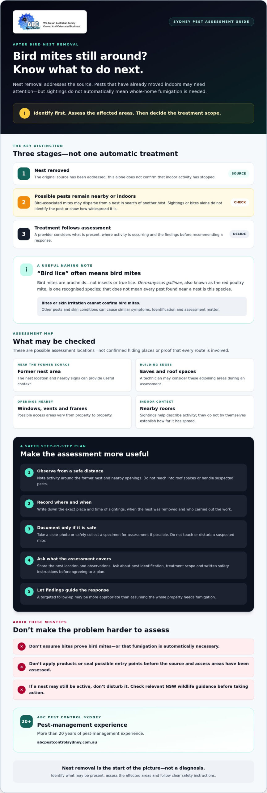Bird Lice Fumigation After Nest Removal in Sydney - Infographic