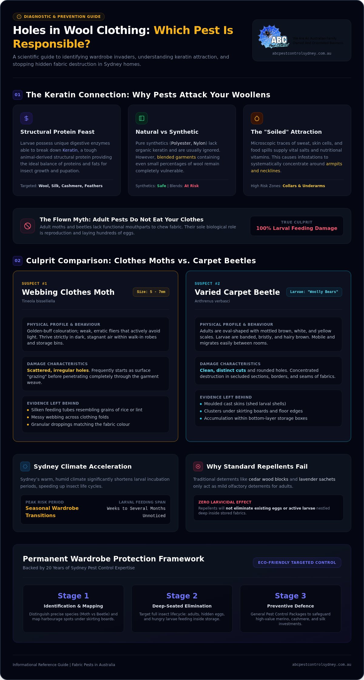 Holes in Wool Clothing? Identifying the Pests Ruining Your Wardrobe - Infographic
