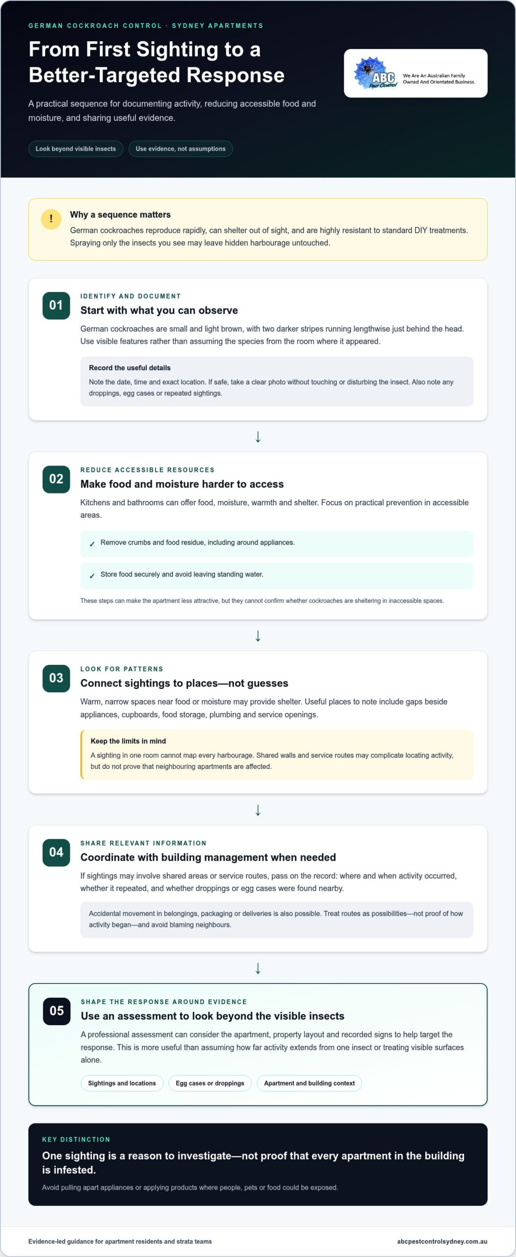 German Cockroach Control Sydney Eastern Suburbs - Infographic