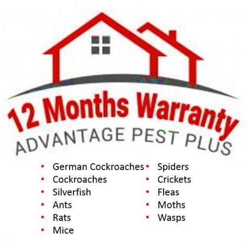 exterminator Parramatta Pest Control Service ABC Pest Control Monthly Warranty NSW